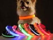 TRENDMOPS LUMIAGUARD - Hundehalsband Halsband LED Licht Sicherheit Gassi Dunkelheit USB Batterie Hunde - Oldenburg