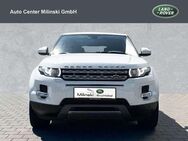 Land Rover Range Rover Evoque SD4 Prestige 20Zoll - Bruchköbel