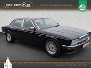 Jaguar XJ40 3.6 Daimler/Classic Data 2+/Oldtimer - Dresden