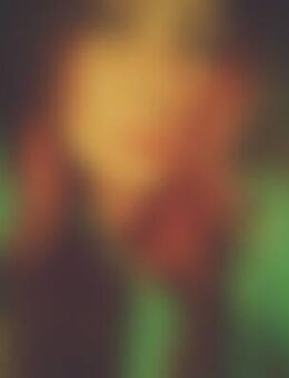 The*** - Gelsenkirchen