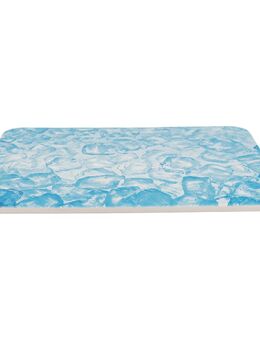 Trixie Kühlplatte für Kleintiere - L 28 x B 20 x H 0,8 cm