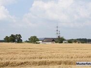 Einfamilienhaus mit div. Nebengebäuden - Löbau