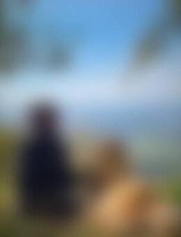 Big*** - Kelbra (Kyffhäuser)