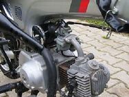Honda Dax Monkey Charly PBR Gorilla und Replicas - *118 Schrauben Set 48* Normteile Satz NEU - Werdohl