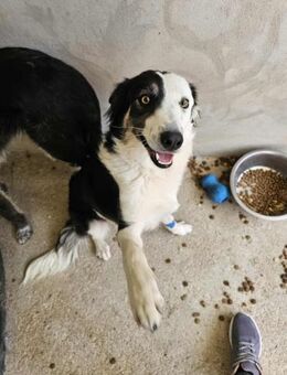 Frohnatur Marisol - Eichenzell