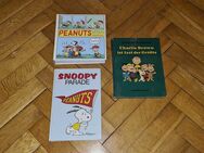 Tim und Struppi Peanuts Snoopy Charlie Brown Bücher Hefte - Berlin