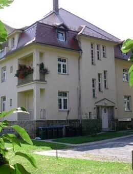 Tolles 1-Zimmer-Appartment in gehobener Villa! - Pirna