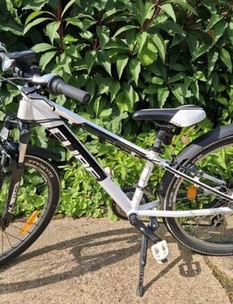 Cube Kinderfahrrad 240 Edition "Die Mannschaft" - Suderburg