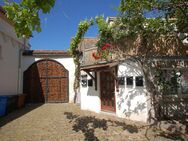 Mehrgenerationenhaus - Wohnen wo andere Urlaub machen - Neustadt (Weinstraße)