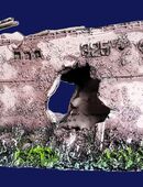 Interessante Aquarium Deko in 28239