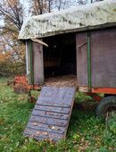 Viehanhänger in 97776