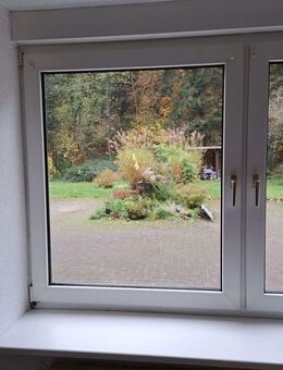 Kompakte 1-R-Wohnung - Birkenhördt