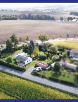 Grüne Oase am Stadtrand - Neustadt (Orla)