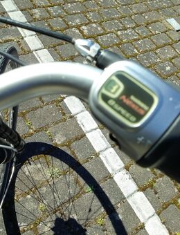 E Bike 28 Zoll 8 Gang.36 V.520 W.. KTM.! - Heide