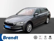 Skoda Octavia, 2.0 TDI Combi, Jahr 2024 - Bremen