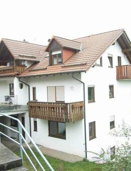 Geräumige Eigentumswohnung im Grünen - Ruhige Lage mit viel Wohnkomfort zu verkaufen. - Neckargemünd