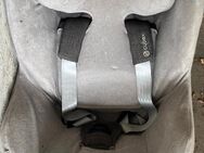 Cybex Sirona Z-Size Soho grey Plus Kindersitz - Hagen