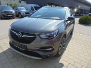 Opel Grandland X Ultimate - Petting