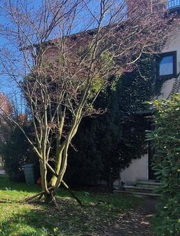 viel Potential! - Rosenheim