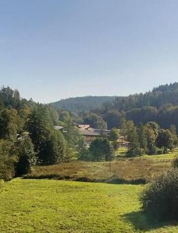 Perfekt für Kapitalanleger! Charmante vermietete 2-Zimmer-Wohnung mit Blick ins Dobeltal - Bad Herrenalb