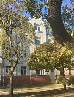 Erstbezug nach Komplettrenovierung!! Wunderschöne DG-Wohnung in toller grüner Lage/Nordvorstadt - Zwickau