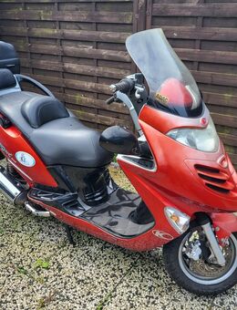 Roller Kymco Grand Ding 125 - Kiel Friedrichsort