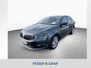 Skoda Octavia, 1.8 TSI CLEVER, Jahr 2018 - Roth (Bayern)