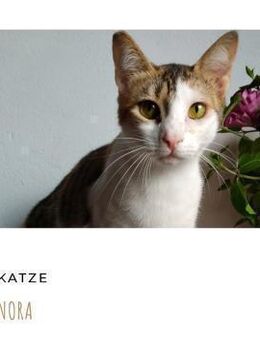 Nora&Keti suchen liebesvolles Zuhause - Hamburg