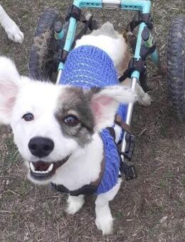 Valentina - Konstanz