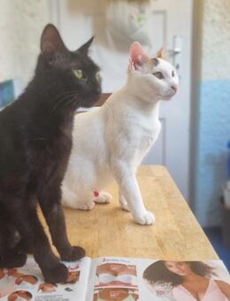 Elba & Ferrara Freundinnen suchen 🏠 - Benediktbeuern