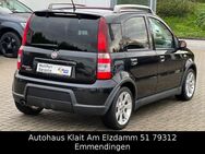 Fiat Panda 1.4 16V 100HP Zahnriemen bei 138 000 - Emmendingen