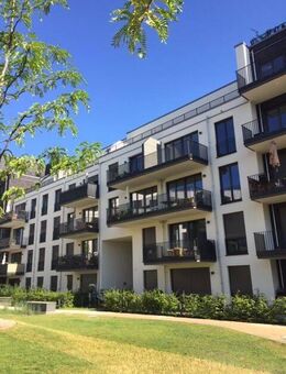 Sonnige 2-Zimmer-Wohnung in Karlhorst - Berlin