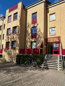 Charmante Studentenwohnung in Greifswald - Greifswald