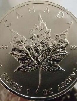 1 oz Silber Unzen Silbermünzen für Sammler und Anleger - Rehau