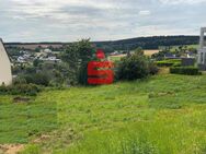 Grundstück mit schönem Blick in erhöhter Ortsrandlage - Neidenbach