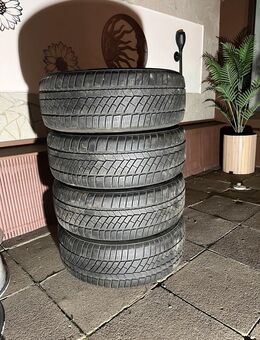 Winterreifen - Aken (Elbe)