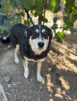 Meggie möchte dich verzaubern - Celle