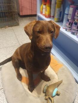 Vanessa sucht ihr Glück - Enger (Widukindstadt)