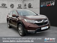 Honda CR-V 1.5 VTEC-Turbo CVT 4WD Lifestyle LED Navi - Brandenburg (Havel)