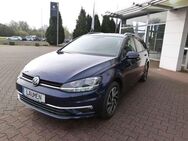 VW Golf Variant 7 1.0 TSI OPF Join Navi LM Nebel SHZ Parkpilot - Castrop-Rauxel