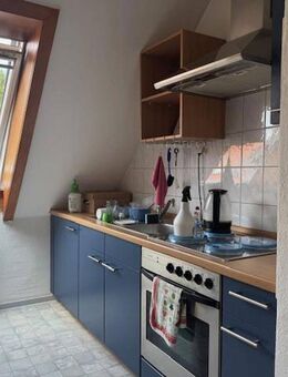 3 Zimmer Wohnung in Elze - Elze
