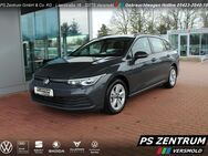 VW Golf Variant, 1.5 Golf VIII eTSI Life, Jahr 2022 - Versmold