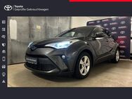 Toyota C-HR, 2.0 Hybrid Team D, Jahr 2020 - Freising