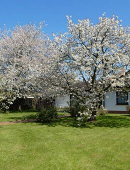 Komfortabler Bungalow plus Ferienwohnungen auf Usedom - Koserow
