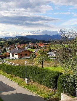 (Un-) und möbelierte 1&2-Zimmer (Ferien-)Wohnung sowie 2 DG-Zimmer in 94258 Frauenau - Frauenau