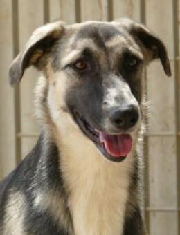 Hübsche Destiny möchte zu Ihnen gehören - Neuss