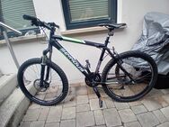 Fahrrad 26 Zoll - Herxheim (Berg)