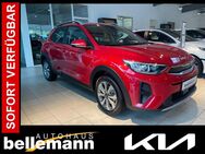 Kia Stonic, 1.0 T-GDI 100 Vision ||, Jahr 2024 - Speyer