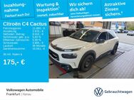 Citroën C4 Cactus, 1.2 110 Shine, Jahr 2019 - Hanau (Brüder-Grimm-Stadt)