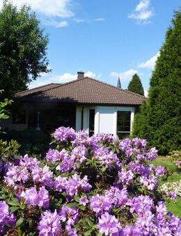 Schickes Einfamilienhaus im Bungalowstil mit großem Garten in der Gemeinde Wermsdorf - zu verkaufen - Wermsdorf